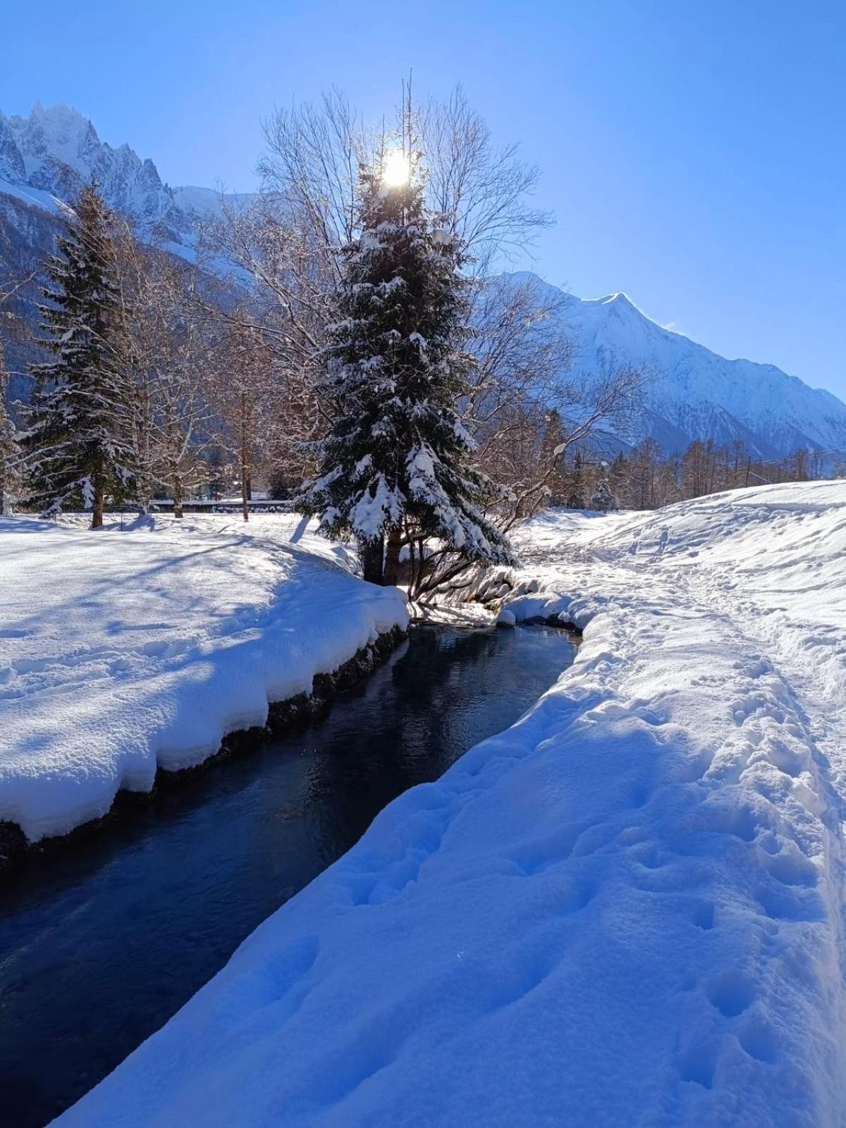 Appartement Chamonix Montblanc 1 A 4 Personnes المظهر الخارجي الصورة